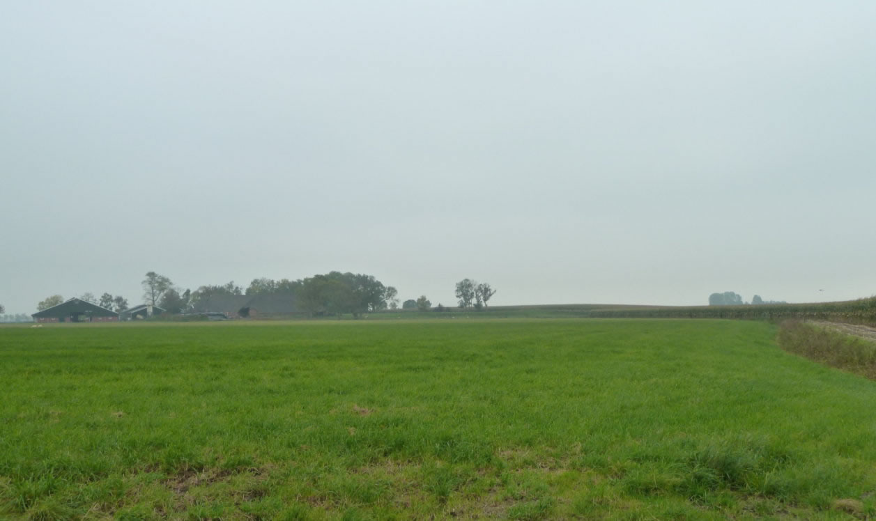 De wierde Kernwerd bij Oldenhove. Wierde gezien vanaf de Aalsumerweg met links boerderijgebouwen. Rijksmonument.